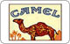  Cigarettes Camel 