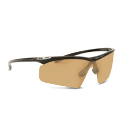 Bolle Witness Sunglasses 10929